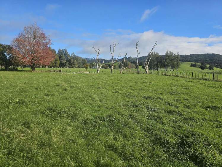 43 Hongi Street Kaikohe_13