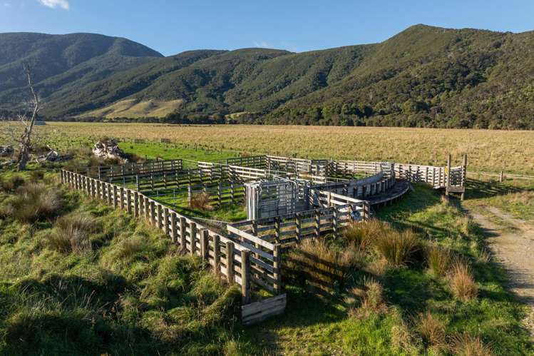 4710 Kenepuru Road Marlborough Sounds_44