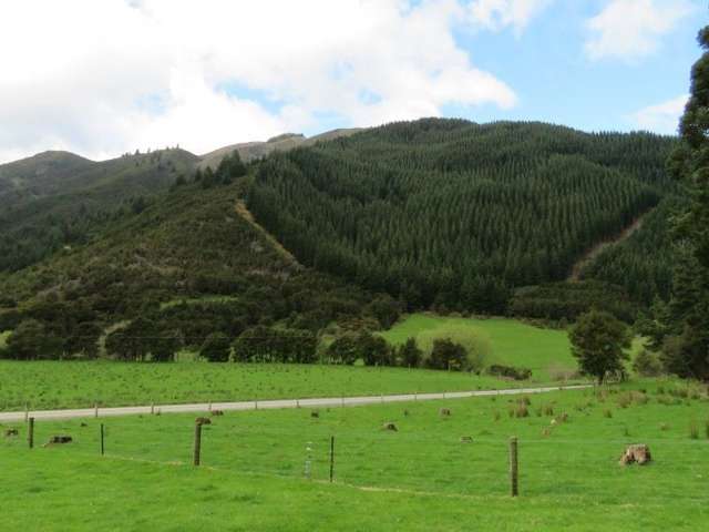 887 Waikakaho Road Tuamarina_1