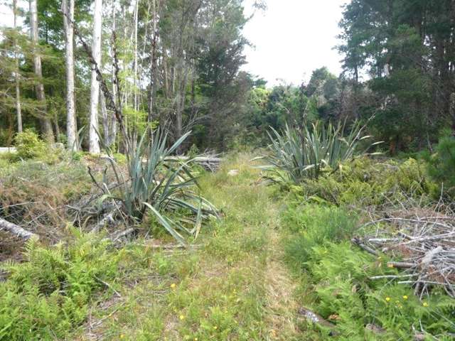 Keogans Road Hokitika_4