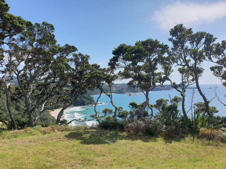 23 Tatham Road Ti Point_26