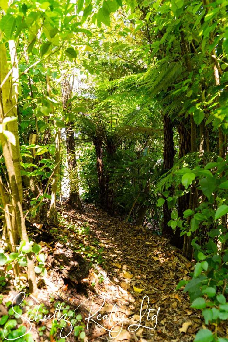 21 Ngatoto Road Tinopai_7