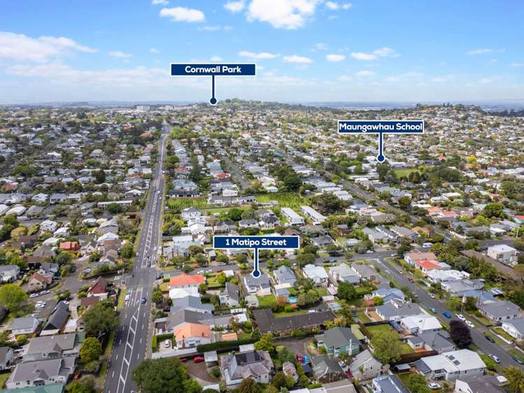 1 Matipo Street Mt Eden_25