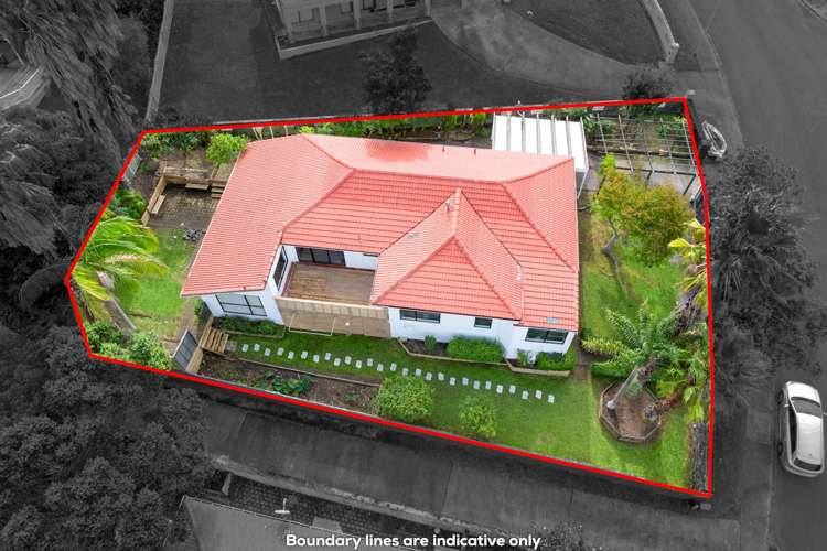 20 Pallister Drive Hillsborough_3