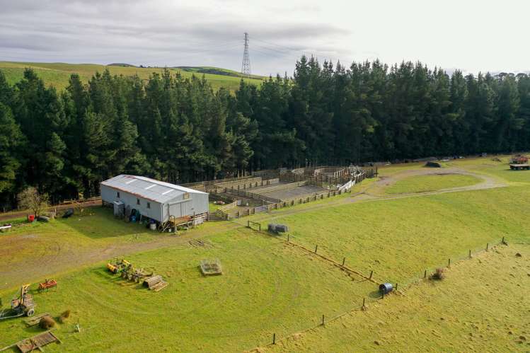 319 Monument Road Pleasant Point_11