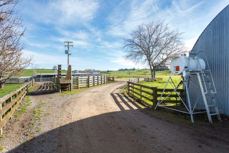 1 Gunn Road Matamata_12