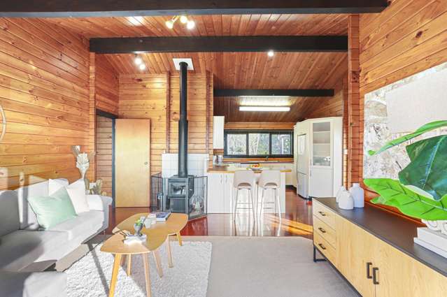 98 Daffodil Street Titirangi_4