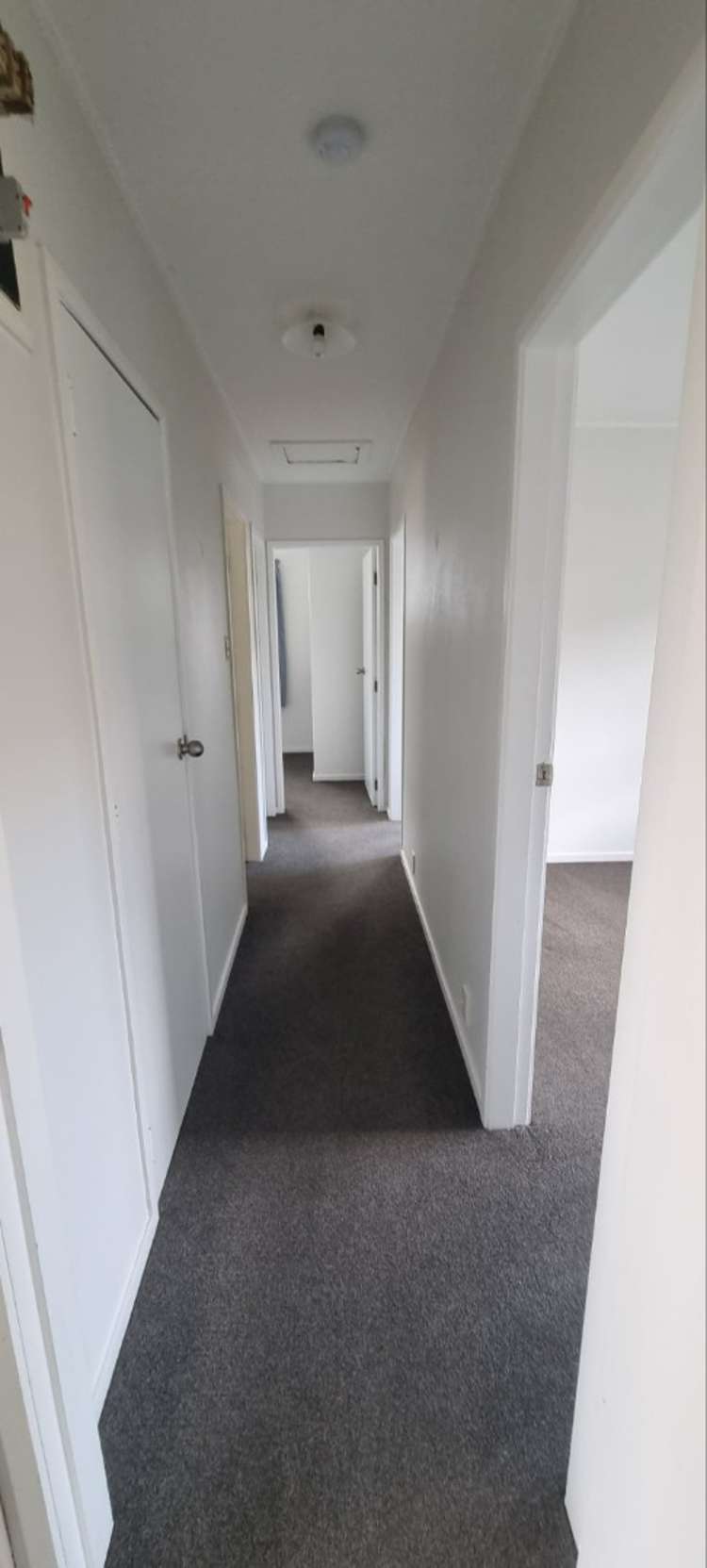 45 Collie Drive Pukehangi_8