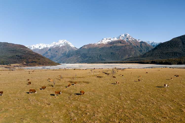 Glenorchy-Paradise Road Glenorchy_12