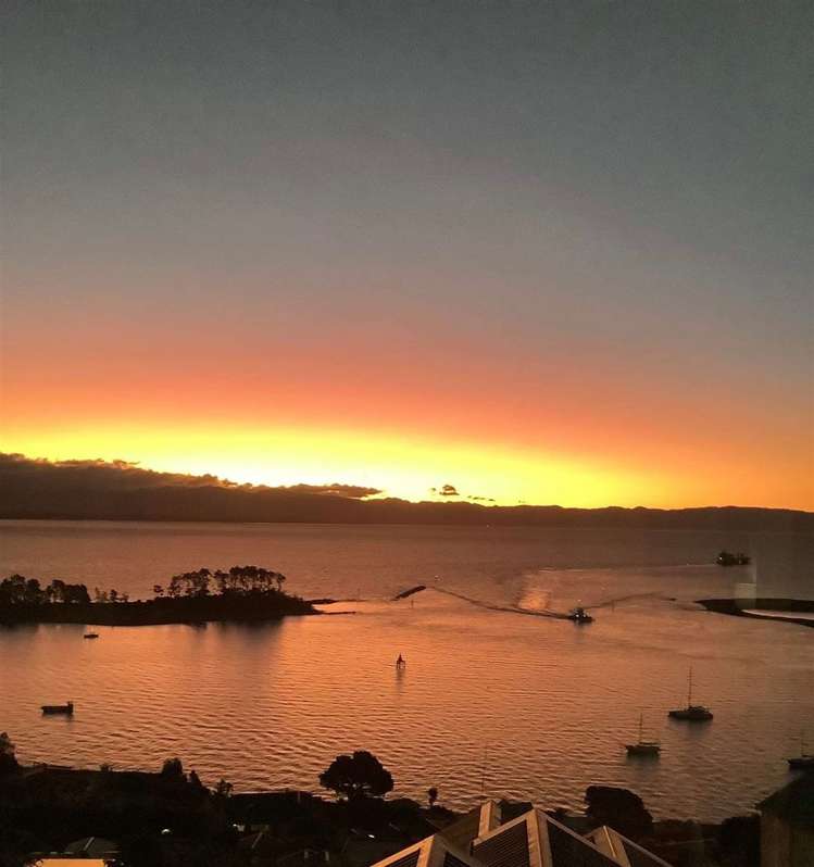 42 Britannia Heights Stepneyville_7