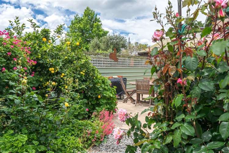 12 Dawkins Place Islington_13