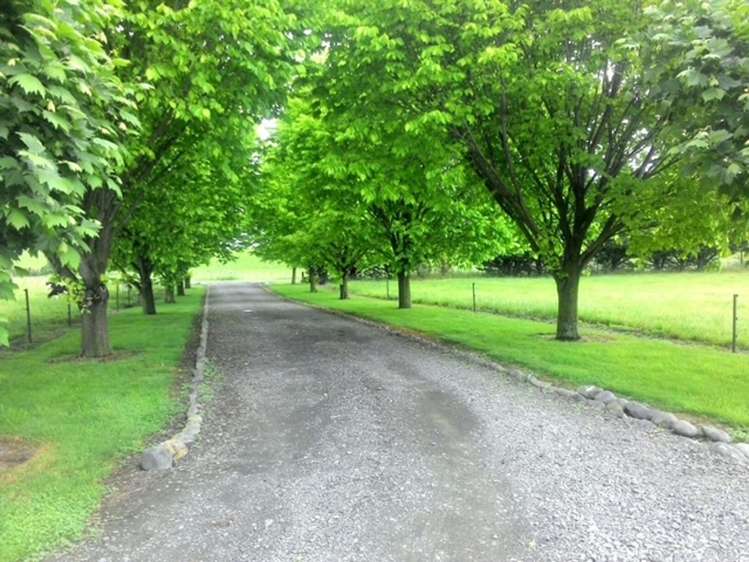 646 Wakarara Road Ongaonga_33