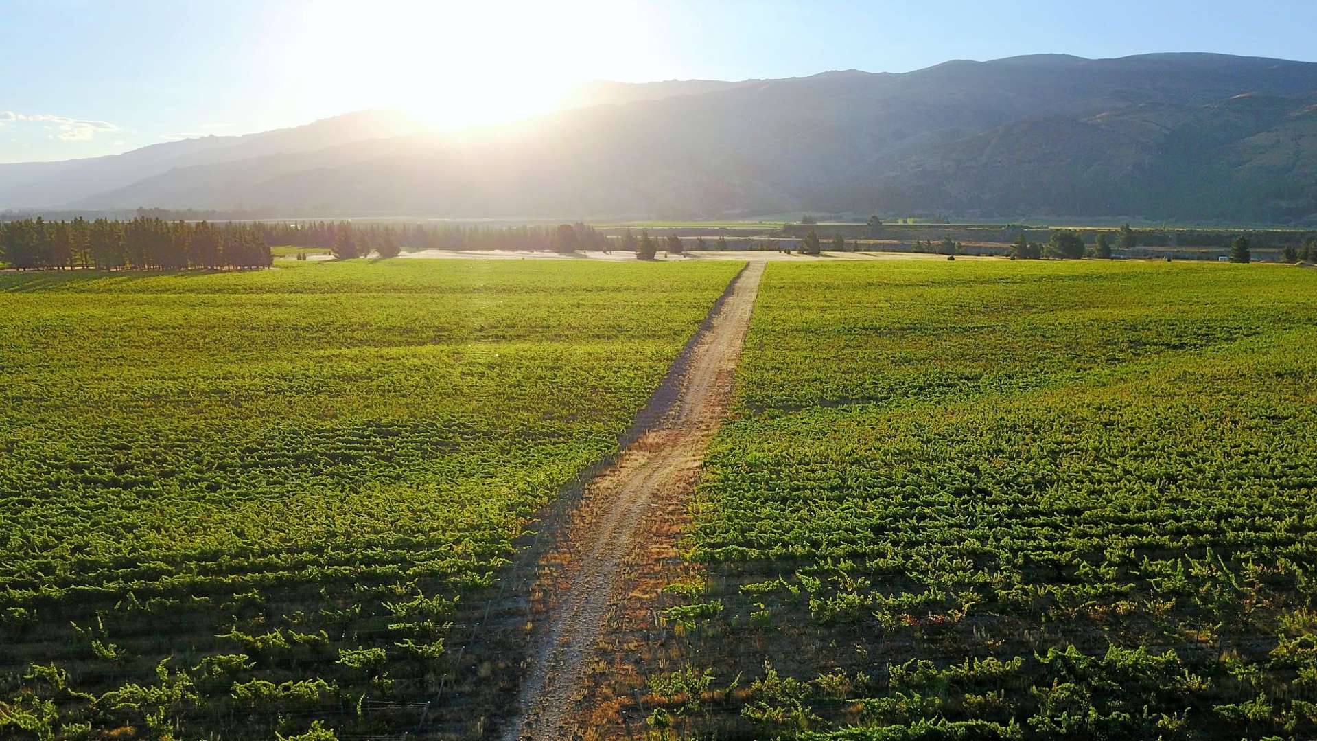 351 Maori Point Road Tarras_0