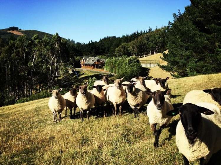 42 Cottle Park Drive Normandale_35