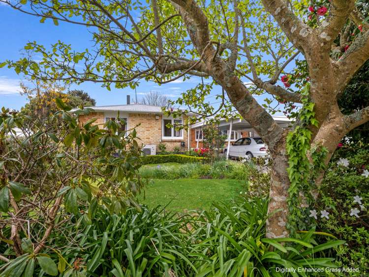 26 Upland Road Western Heights_26