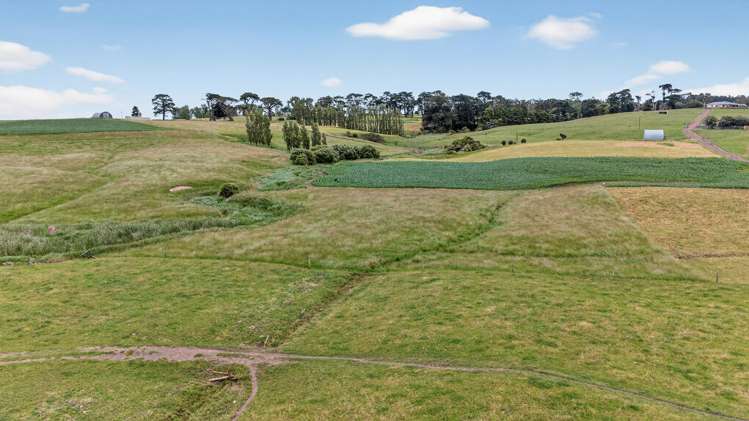 00 Awhitu Road Waiuku_13