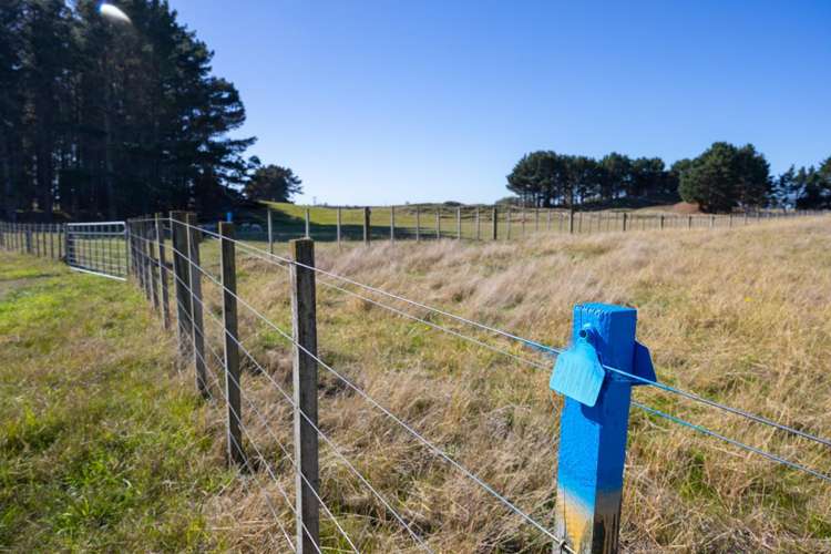 163 Downs Road Himatangi_12