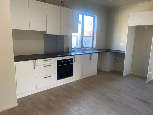 81 Archibald Street Tinwald_1