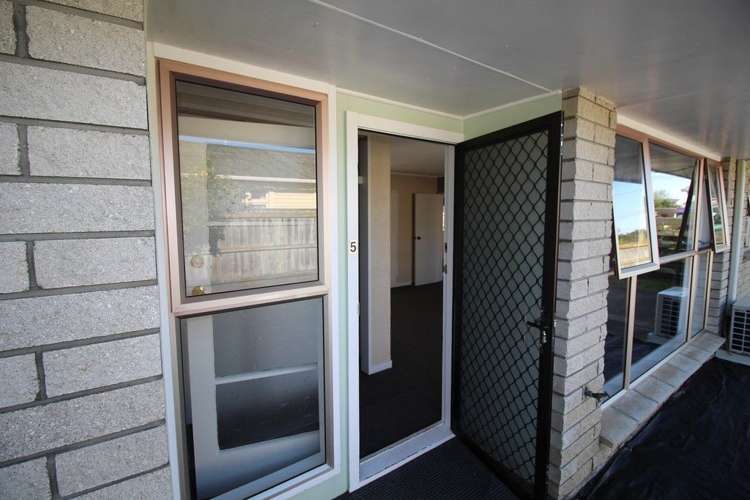 136e High Street Bulls_2