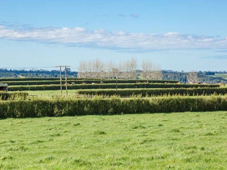 403 Te Ahu Ahu Road Waimate North_27