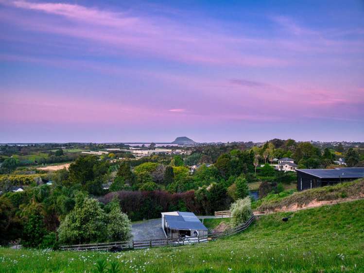 39 Corbett Drive Te Puna_18