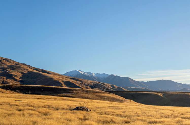 Cardrona Valley Road_0