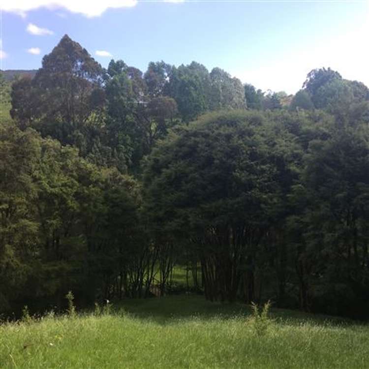 473 Kauaeranga Valley Road Thames_46