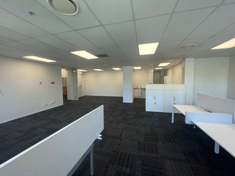 18 Normanby Road Mount Eden_8