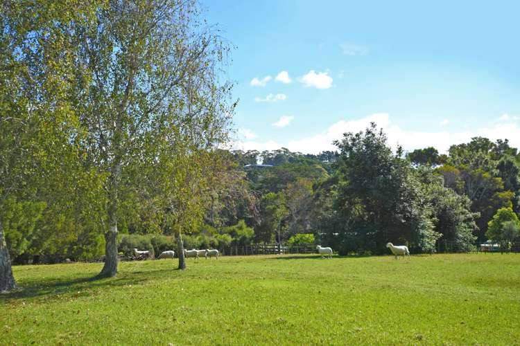 22 Muncaster Road Snells Beach_20