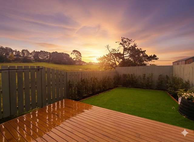 32 Nanjing Road Pukekohe_2