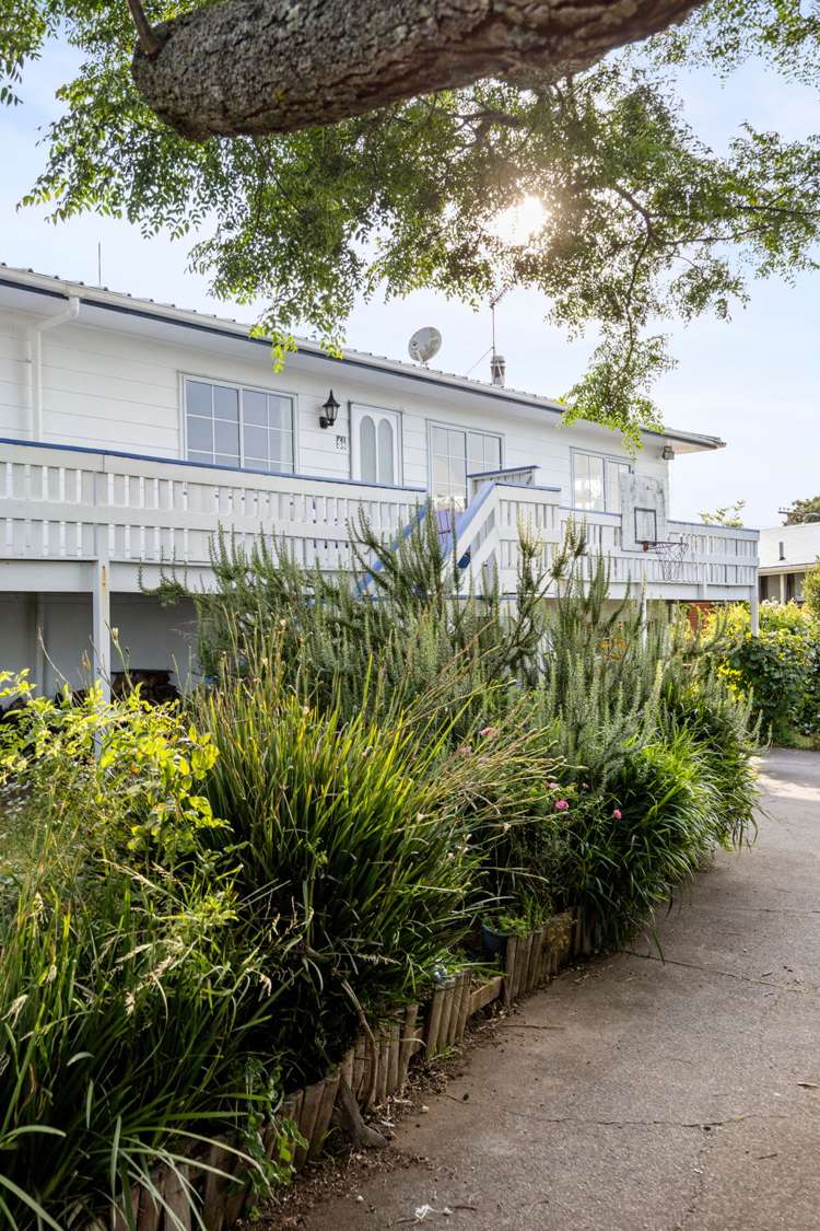 38 Velma Crescent Nawton_8