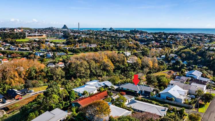 4 Dale Street Lower Vogeltown_20