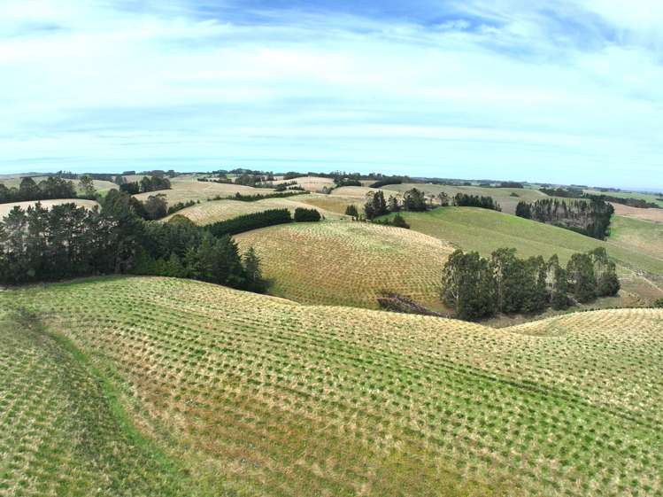 174 McCulloch Road Awamangu_10