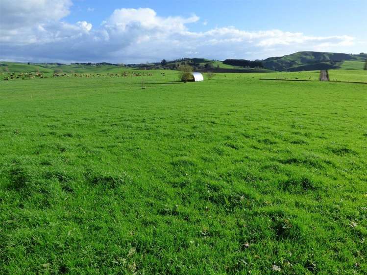 203/219 Paewhenua Road Maihiihi_4