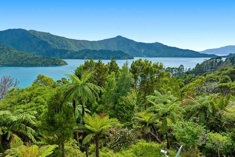 2149 North West Bay Marlborough Sounds_29