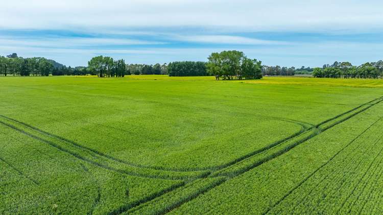 190 Bennetts Road Cust_5