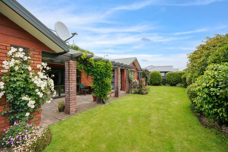 188 Ward Street Hargest_11