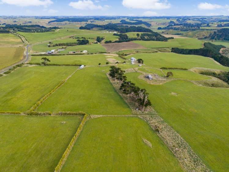 116 Karahaki Road Waverley_13