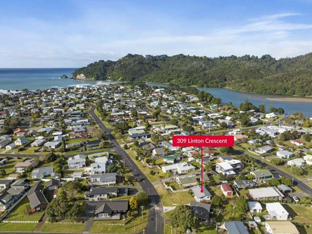 309 Linton Crescent Whangamata_1