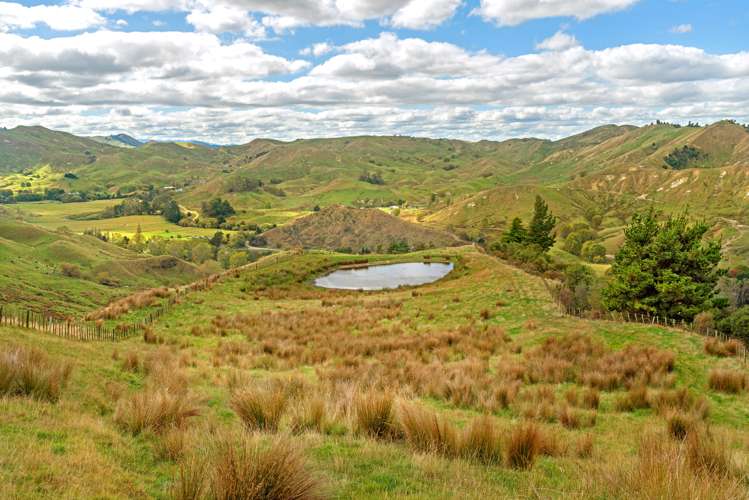 3643 Wharekopae Road Rere_6