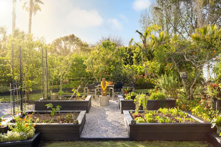 16b Waimanu Place Point Wells_18