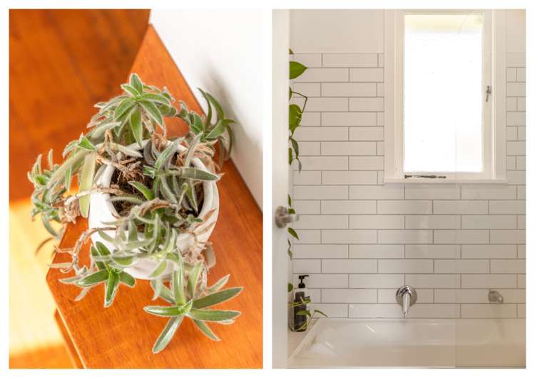 12 Russell Street Waihi_21