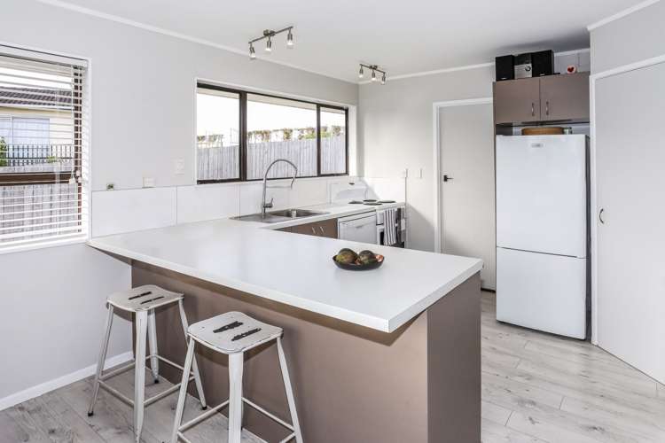 52 Elizabeth Street Tuakau_10