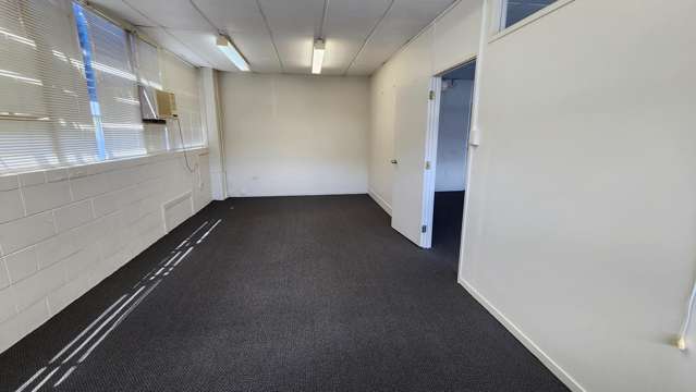 Level 1 Studio/123 Manukau Road Epsom_1
