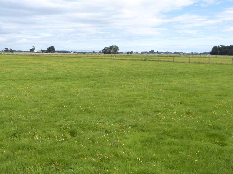 2 Wilson Road South Motu Rimu_1