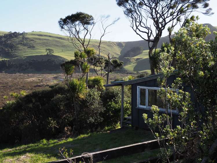 158 Bethells Road Bethells Beach_35