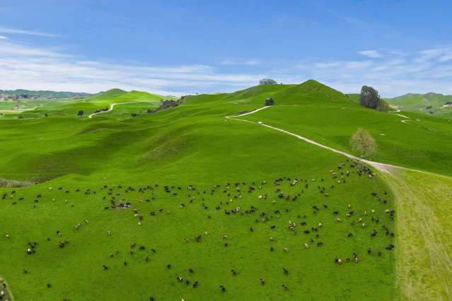 Large Scale Dairy with Location