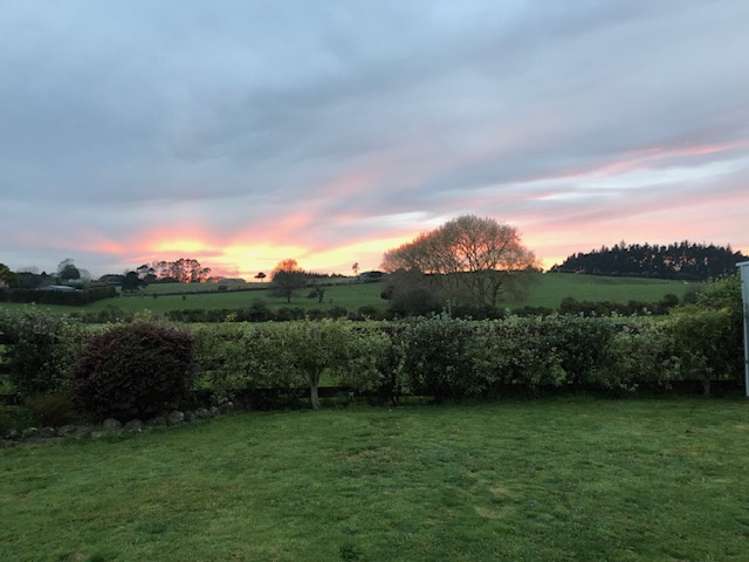 5c Armitage Place Tuakau_18