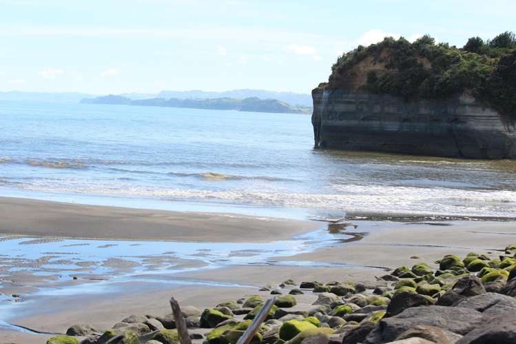 Address withheld Urenui_15