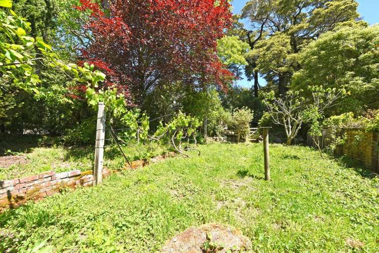 70 Blue Mountains Road Pinehaven_23